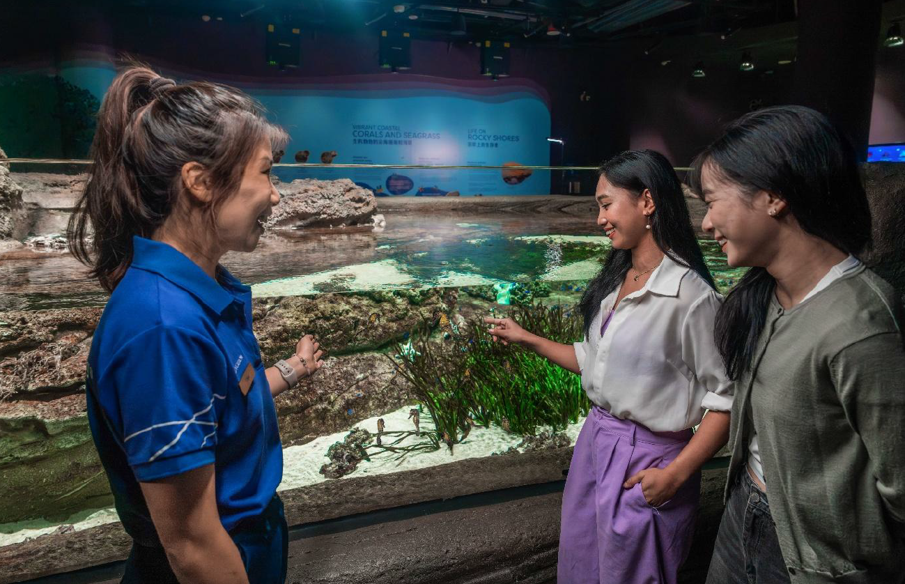 Singapore Oceanarium Launches Exclusive “Animal Spotlight: Seahorses” Guided Experience - Alvinology