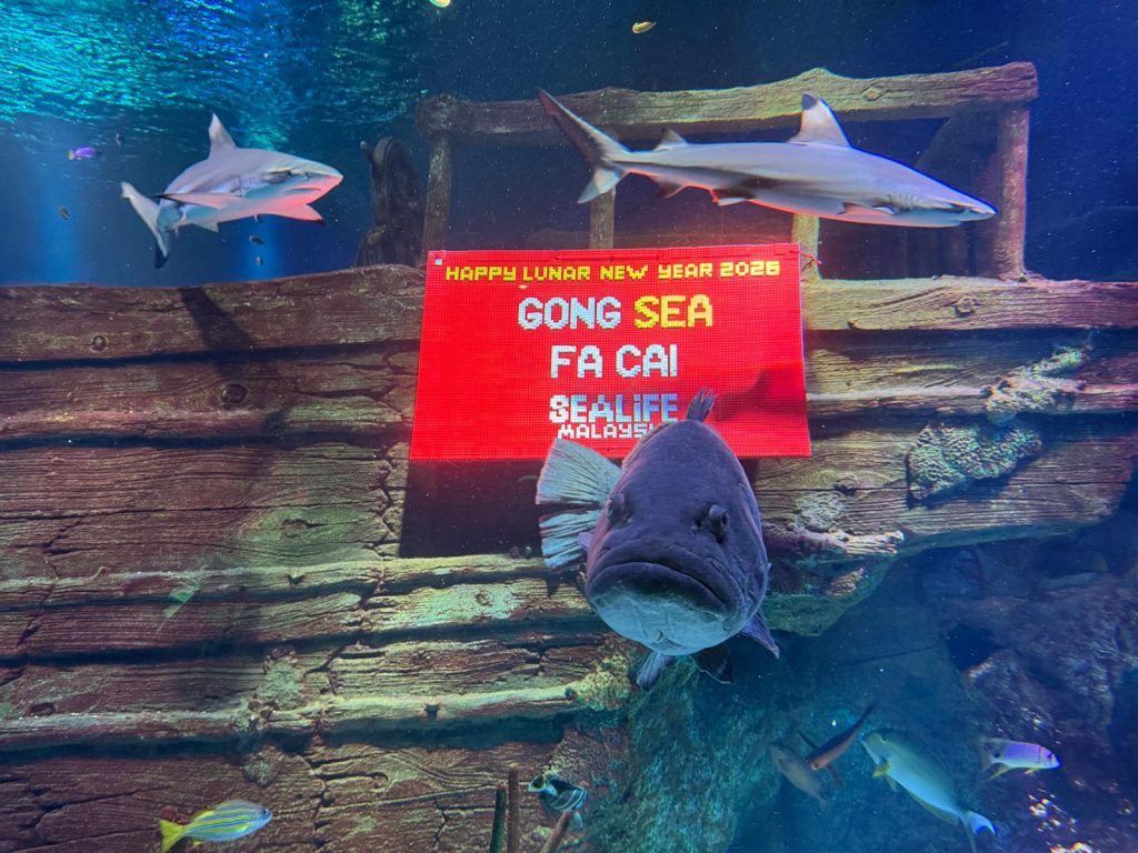 Chinese New Year with Kids in JB: Is LEGOLAND Malaysia Worth it? - Alvinology