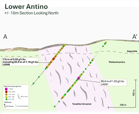 Founders Metals Upgrades Lower Antino to Advanced Target; Hits 65.9 m of 1.16 g/t Gold Founders Metals Upgrades Lower Antino to Advanced Target; Hits 65.9 m of 1.16 g/t Gold - Alvinology