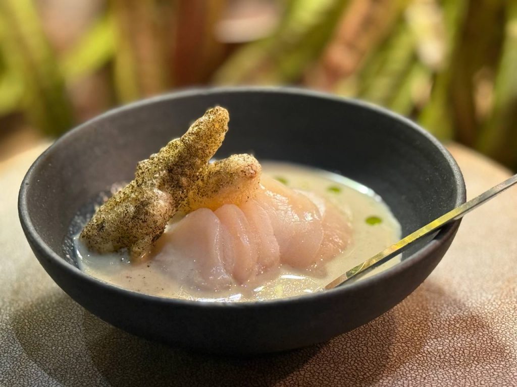 NOBO Soy Launches in Singapore With a Fresh Take on a Classic Drink NOBO Soy Launches in Singapore With a Fresh Take on a Classic Drink - Alvinology