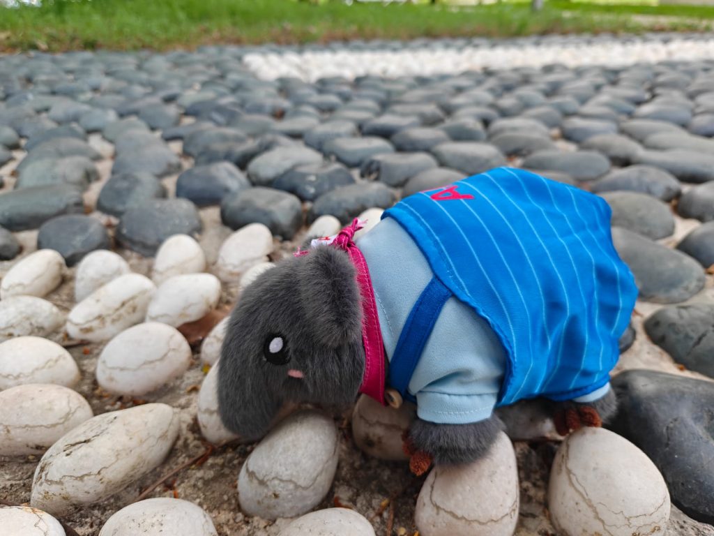 AIA Singapore Launches Tamarind the Tapir Plush Charm with Collectible Blind Bag Outfits - Alvinology