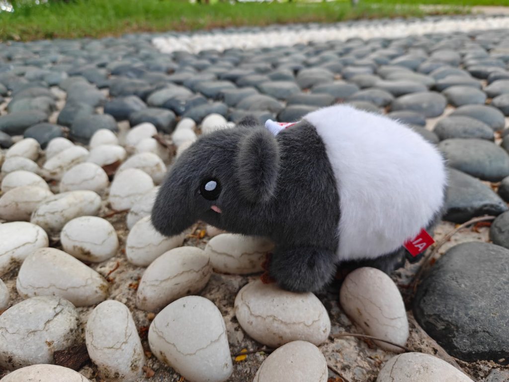 AIA Singapore Launches Tamarind the Tapir Plush Charm with Collectible Blind Bag Outfits - Alvinology