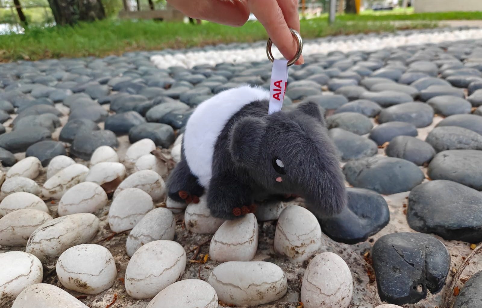 AIA Singapore Launches Tamarind the Tapir Plush Charm with Collectible Blind Bag Outfits - Alvinology