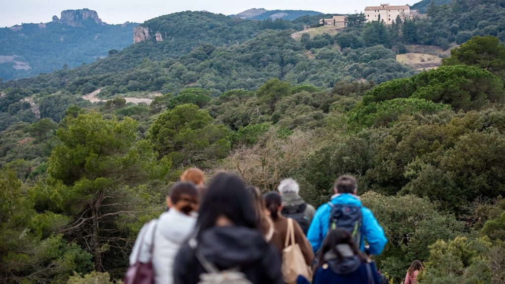 Huawei Highlights Digital Inclusion and Conservation Tech as AI Use Accelerates - Alvinology