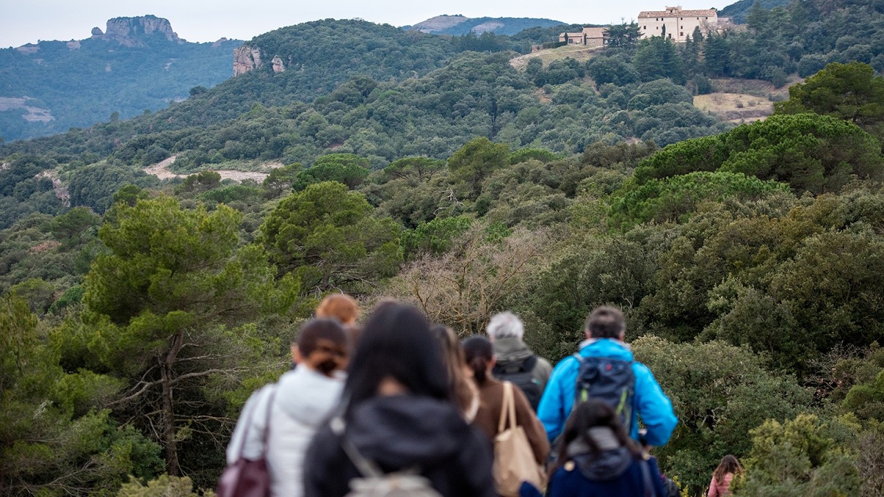 Huawei Highlights Digital Inclusion and Conservation Tech as AI Use Accelerates - Alvinology