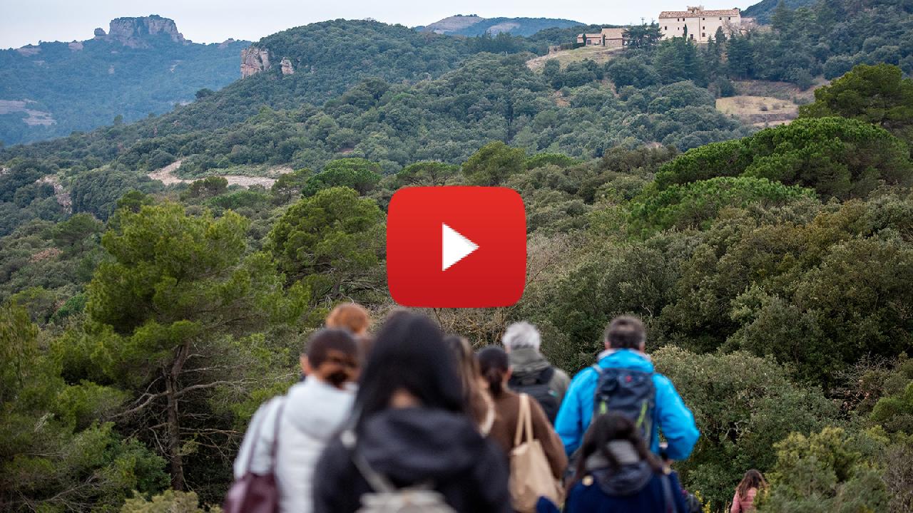 Huawei Highlights Digital Inclusion and Conservation Tech as AI Use Accelerates image-1.jpeg