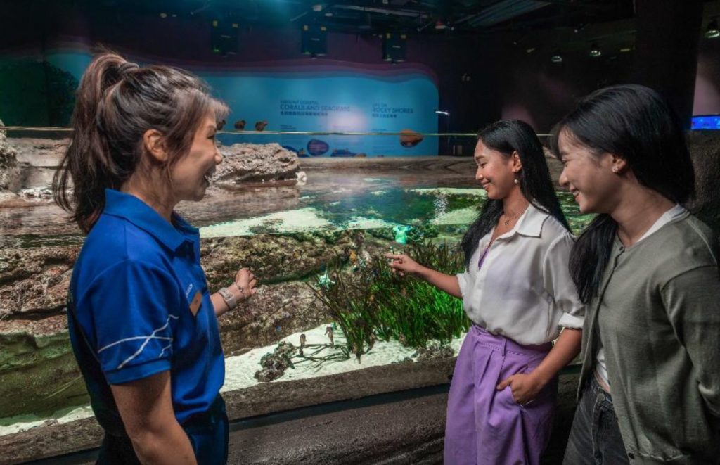 Singapore Oceanarium Launches Inaugural Ocean Kids Festival for Families This March - Alvinology