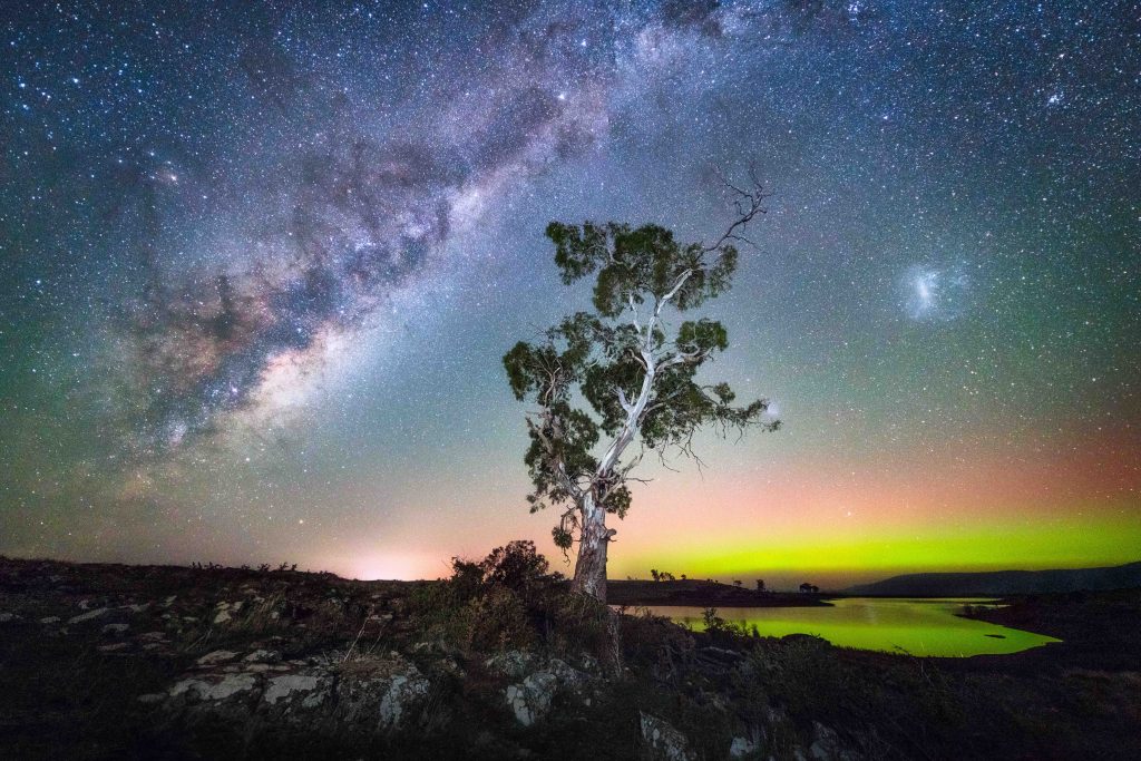 Tasmania After Dark: The Island State Unveils a Growing World of Stargazing, Wildlife Encounters and Nocturnal Adventures - Alvinology