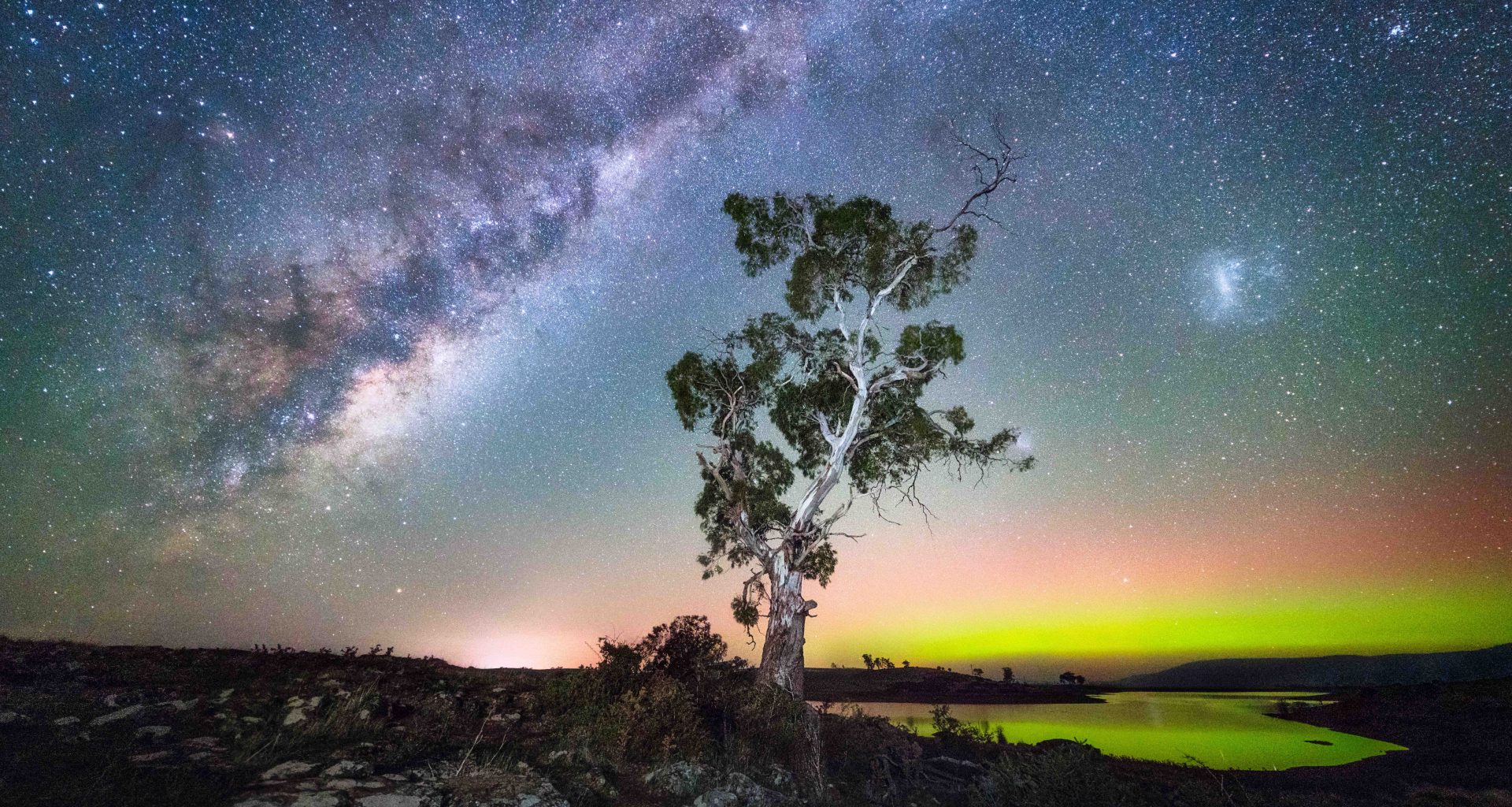 Tasmania After Dark: The Island State Unveils a Growing World of Stargazing, Wildlife Encounters and Nocturnal Adventures - Alvinology