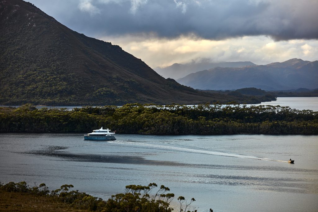 Tasmania After Dark: The Island State Unveils a Growing World of Stargazing, Wildlife Encounters and Nocturnal Adventures - Alvinology