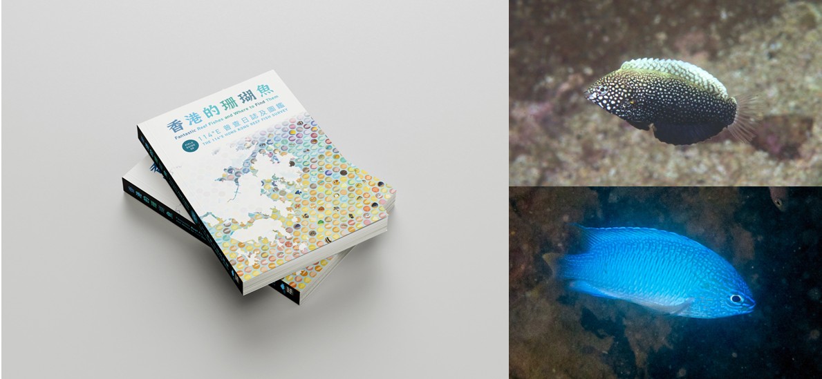 Fantastic Reef Fishes and Where to Find Them: A New Field Guide Celebrates and Documents Hong Kong’s Reef Fish Diversity with 422 Species Fantastic Reef Fishes and Where to Find Them—Field Guide of the 114°E Hong Kong Reef Fish Survey features 422 reef fish species, including nine species that were not previously recorded in Hong Kong in any scientific literature.