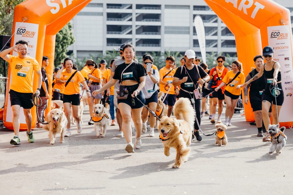Over 7,000 Participants Turned Up For Income Eco Run 2026, Raising $90,000 For Zero Waste Advocacy - Alvinology