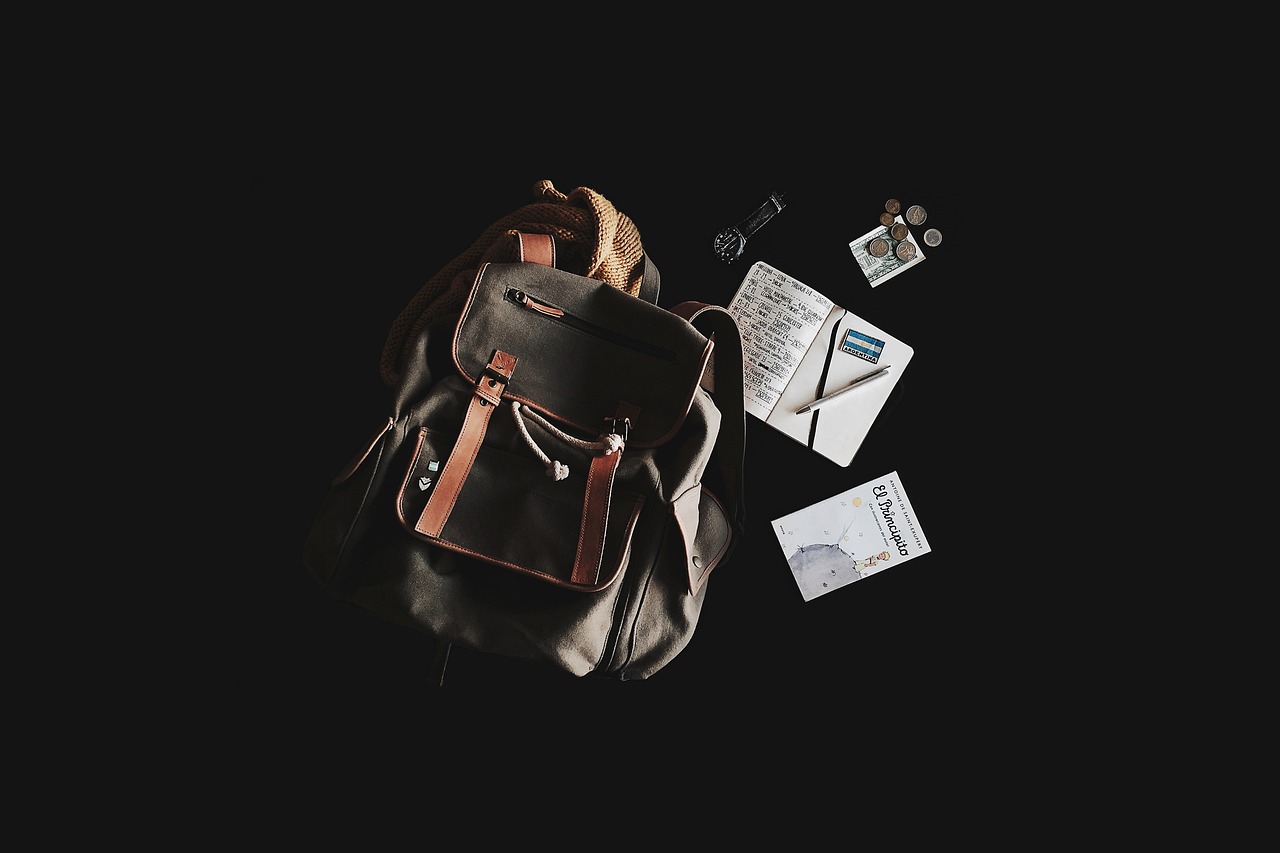 Travel Risks Explained: How to Prepare for the Unexpected - Alvinology