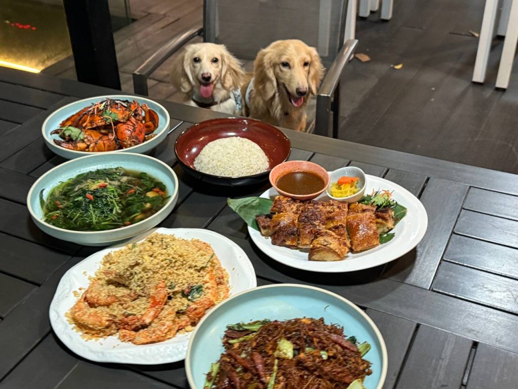 [Review] A Pet-Friendly Mother’s Day Dinner Spot With Roast Lechon and More - Alvinology
