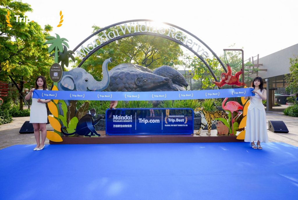 Earn Rewards Exploring Singapore with Trip.com's First Offline Travel Experience - Alvinology