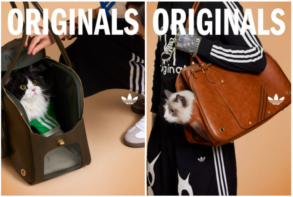 adidas Launches First-Ever Pet Collection in Singapore with Matching Apparel and Accessories for Pets and Owners - Alvinology