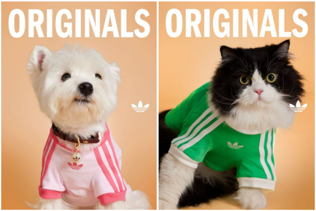 adidas Launches First-Ever Pet Collection in Singapore with Matching Apparel and Accessories for Pets and Owners - Alvinology