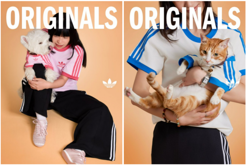 adidas Launches First-Ever Pet Collection in Singapore with Matching Apparel and Accessories for Pets and Owners - Alvinology