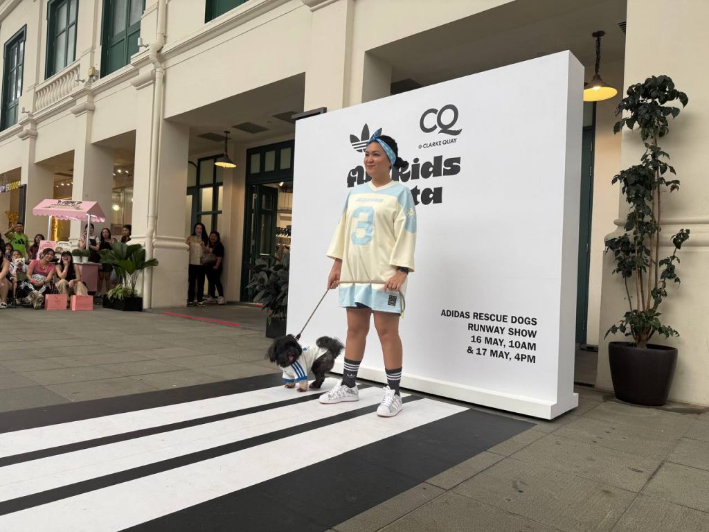 FurKids Fiesta 2026: A Pet-Lover’s Weekend Guide at CQ @ Clarke Quay FurKids Fiesta 2026: A Pet-Lover’s Weekend Guide at CQ @ Clarke Quay - Alvinology