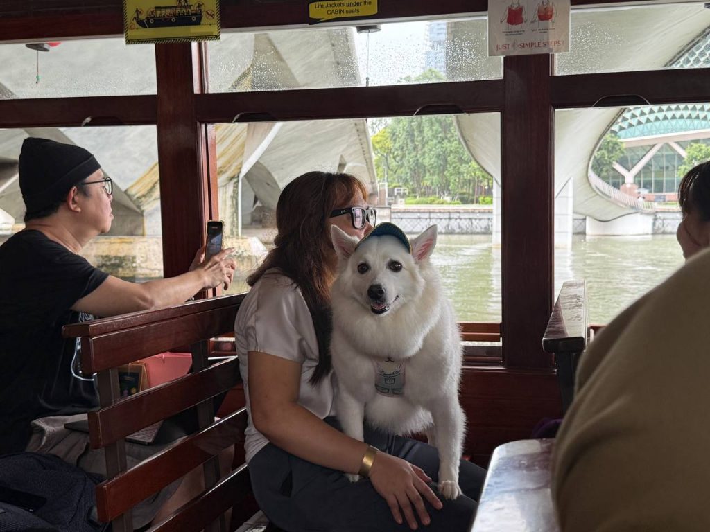 FurKids Fiesta 2026: A Pet-Lover’s Weekend Guide at CQ @ Clarke Quay FurKids Fiesta 2026: A Pet-Lover’s Weekend Guide at CQ @ Clarke Quay - Alvinology