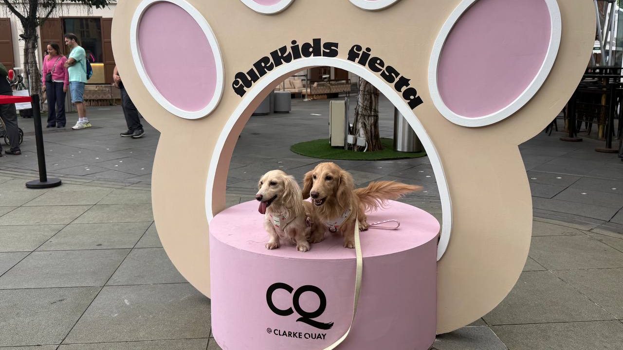 FurKids Fiesta 2026: A Pet-Lover’s Weekend Guide at CQ @ Clarke Quay FurKids Fiesta 2026: A Pet-Lover’s Weekend Guide at CQ @ Clarke Quay - Alvinology