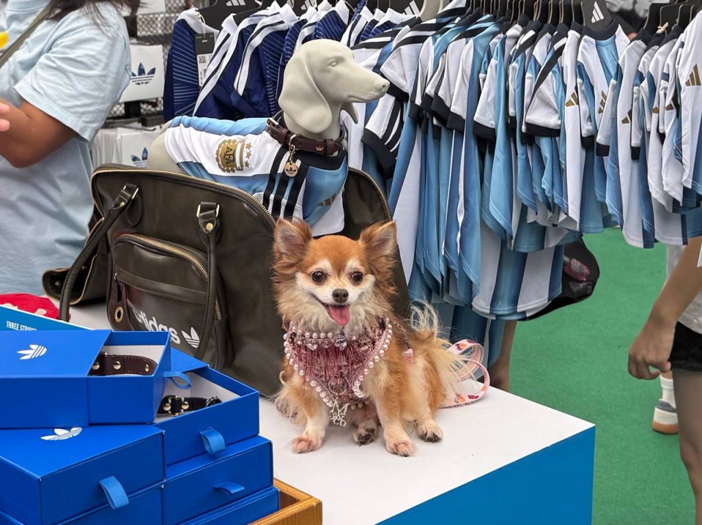 FurKids Fiesta 2026: A Pet-Lover’s Weekend Guide at CQ @ Clarke Quay FurKids Fiesta 2026: A Pet-Lover’s Weekend Guide at CQ @ Clarke Quay - Alvinology