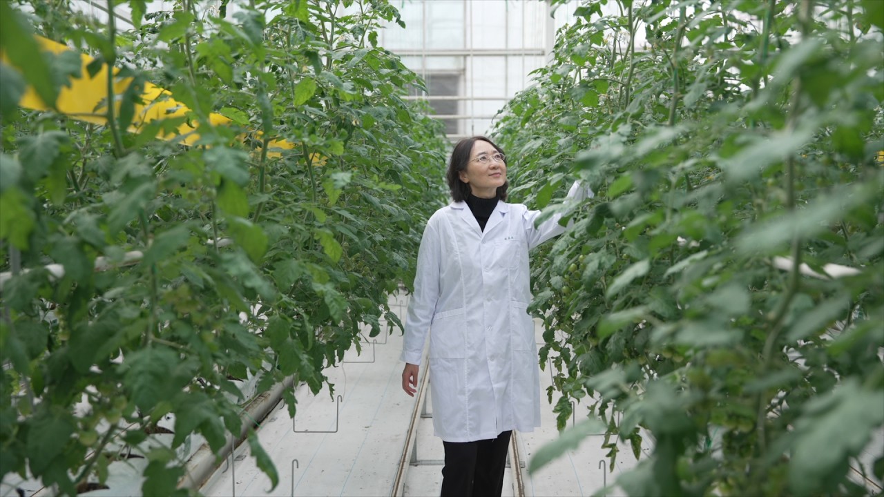 Tracking the unseen: How Chinese agricultural experts tackle invisible pollution in Yangtze River protection - Alvinology