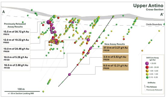 Founders Metals Hits 53.1 m of 1.21 g/t Au from Surface in New Zone West of Upper Antino; Froyo Zone Drilling Intersects 9.0 m of 12.21 g/t Au & 37.0 m of 3.27 g/t Au Founders Metals Hits 53.1 m of 1.21 g/t Au from Surface in New Zone West of Upper Antino; Froyo Zone Drilling Intersects 9.0 m of 12.21 g/t Au & 37.0 m of 3.27 g/t Au - Alvinology