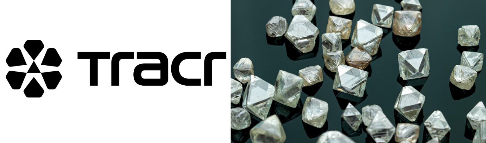 GIA Acquires 30% Shareholding in Diamond Provenance Blockchain Platform Tracr - Alvinology