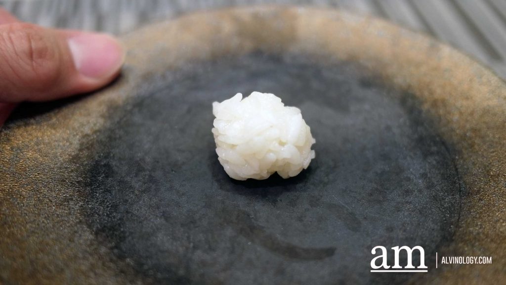 [Review] Uncovering a Hidden Omakase by Michelin-trained Chef Elson Lee at Grand Copthorne Waterfront - Alvinology