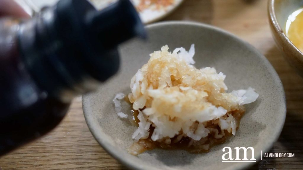 [Review] Precision on a Plate: Why the Singular, S$27.90 Hamburg Steak Set at Hikiniku To Come is Fully Worth the Hype - Alvinology