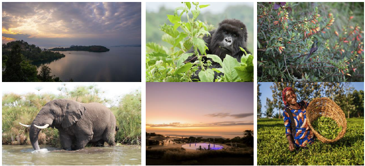 The Lux Collective Debuts in Rwanda with LUX Lake Kivu and SALT of Akagera, Launching a New Luxury Tourism Circuit - Alvinology
