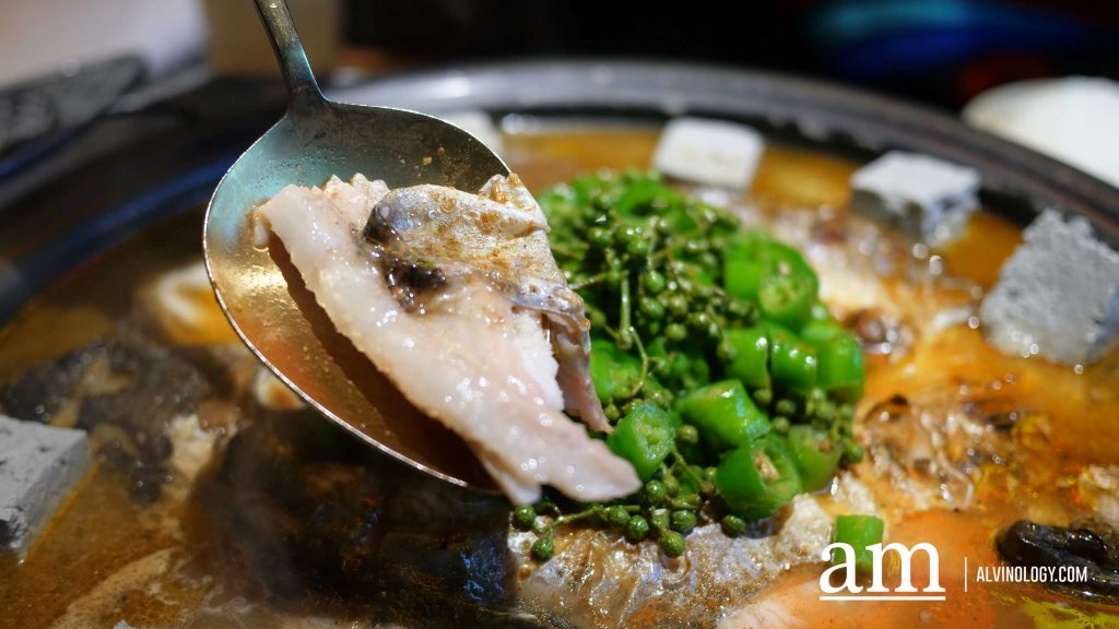 [PROMO ALERT] TANYU 313 Somerset Returns with an Unbeatable 50% OFF Skewer Promotion and Sizzling Grilled Fish - Alvinology
