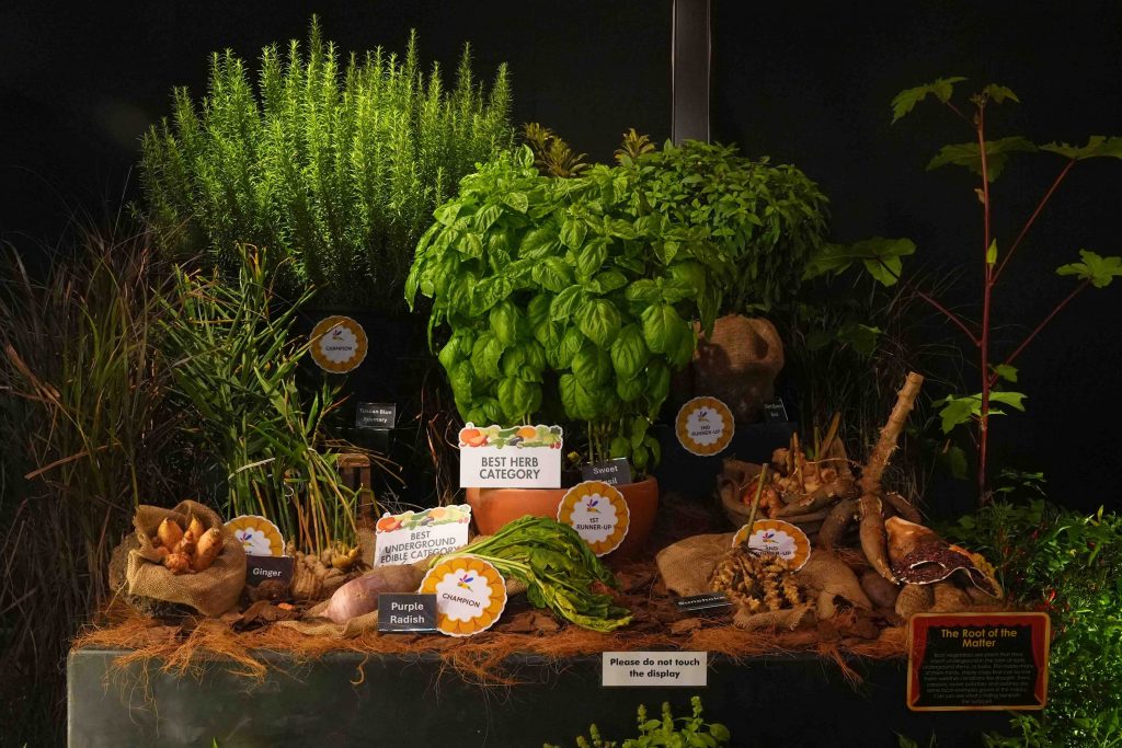 Local Gardeners Take Centre Stage at Singapore Garden Festival 2026 with Award-Winning Carnival Gardens and Exceptional Homegrown Harvests Local Gardeners Take Centre Stage at Singapore Garden Festival 2026 with Award-Winning Carnival Gardens and Exceptional Homegrown Harvests - Alvinology