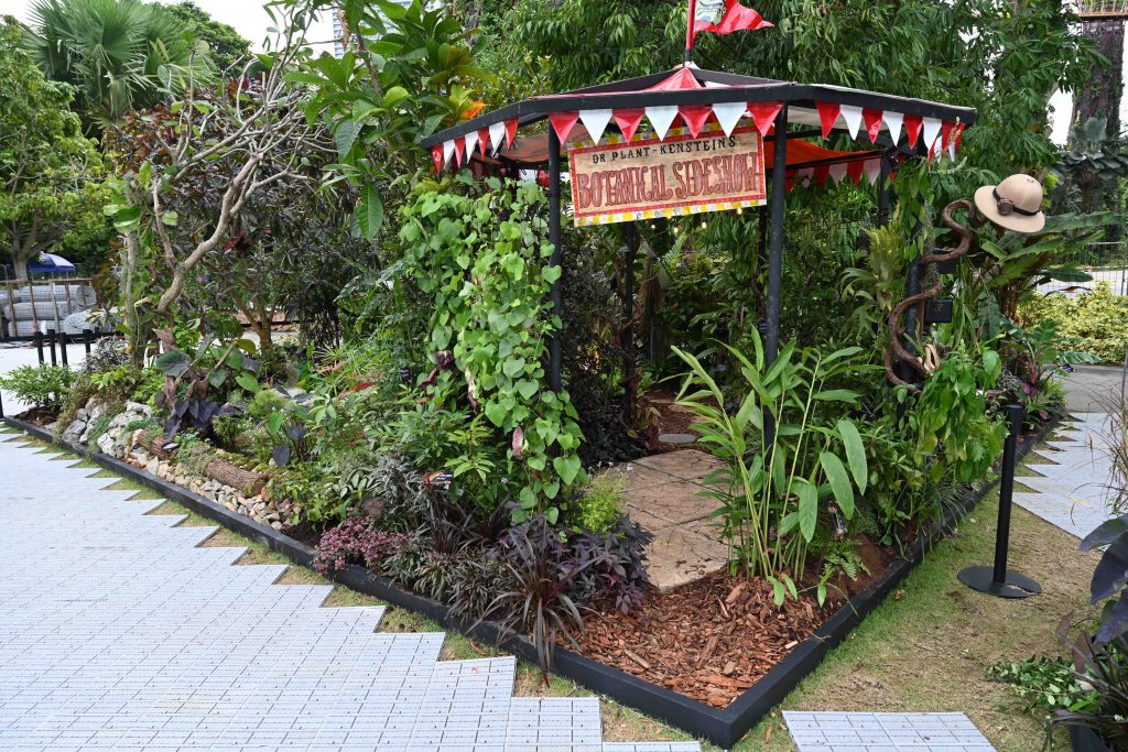 Local Gardeners Take Centre Stage at Singapore Garden Festival 2026 with Award-Winning Carnival Gardens and Exceptional Homegrown Harvests Local Gardeners Take Centre Stage at Singapore Garden Festival 2026 with Award-Winning Carnival Gardens and Exceptional Homegrown Harvests - Alvinology