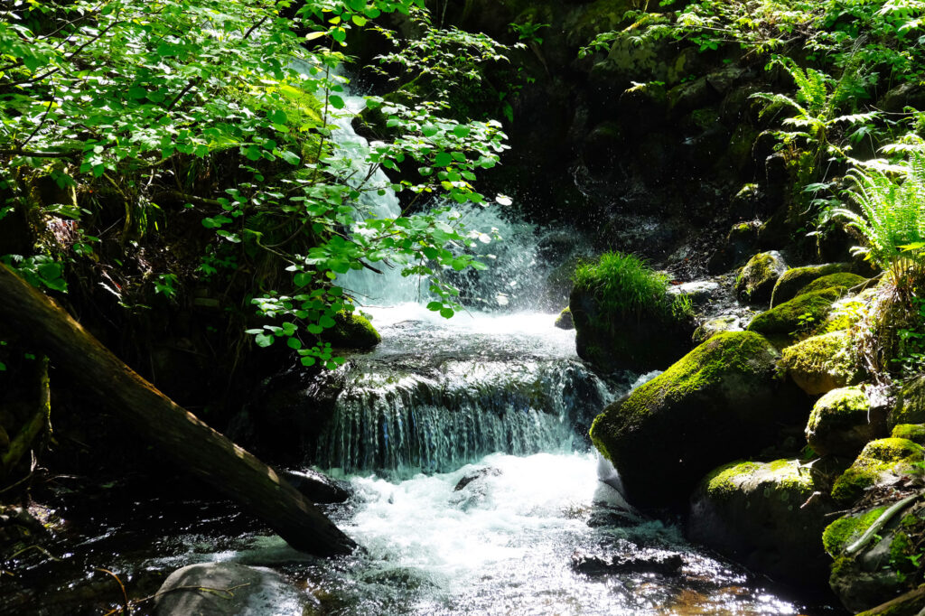 Walk Japan Unveils New Self-Guided Salt Road Walking Tour Through the Japan Alps Walk Japan Unveils New Self-Guided Salt Road Walking Tour Through the Japan Alps - Alvinology