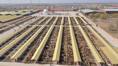 Hinggan League Agricultural, Cultural and Tourism Consumption Carnival Opens in Beijing - Alvinology