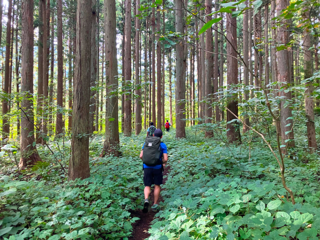 Walk Japan Unveils New Self-Guided Salt Road Walking Tour Through the Japan Alps Walk Japan Unveils New Self-Guided Salt Road Walking Tour Through the Japan Alps - Alvinology