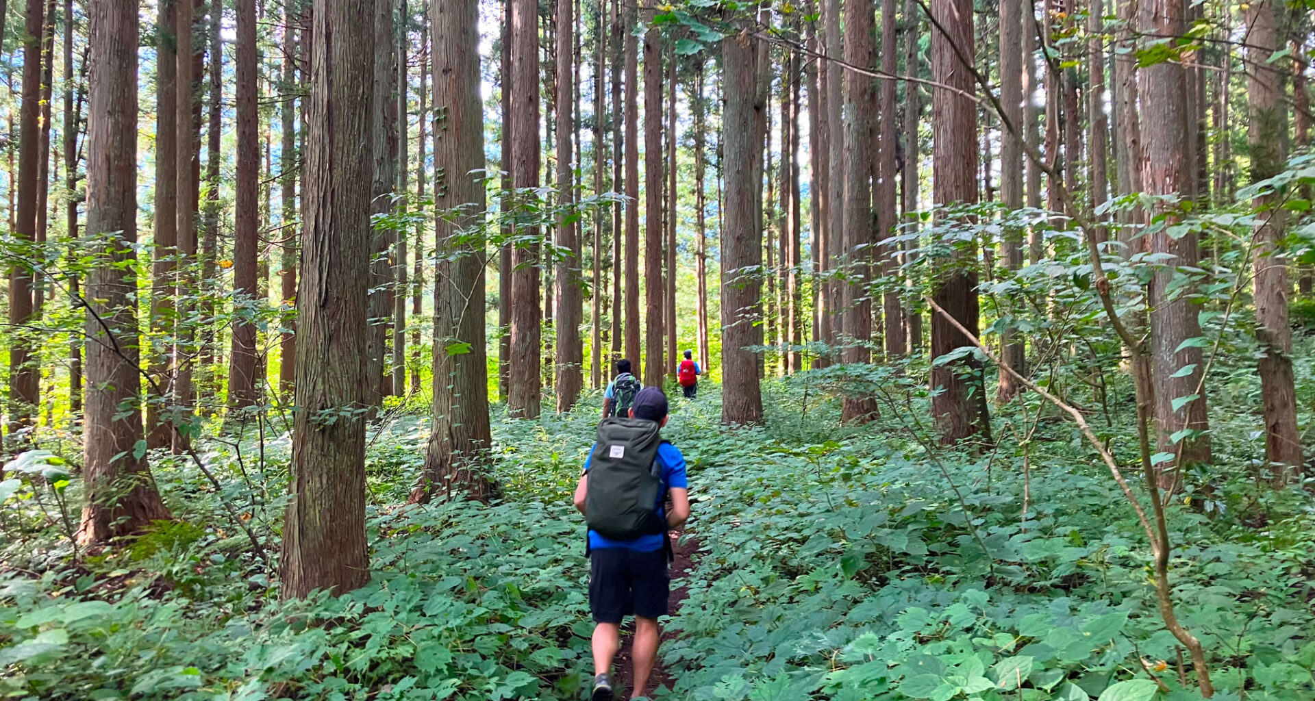 Walk Japan Unveils New Self-Guided Salt Road Walking Tour Through the Japan Alps - Alvinology