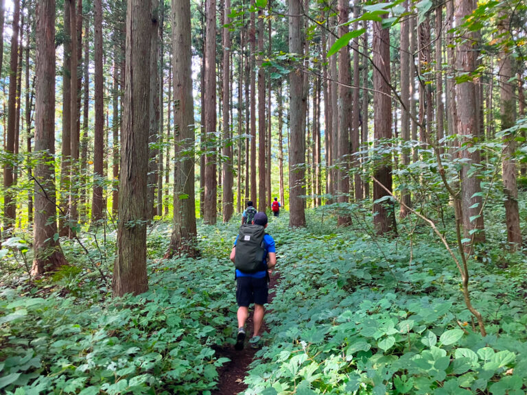 Walk Japan Unveils New Self-Guided Salt Road Walking Tour Through the Japan Alps - Alvinology