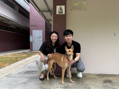 V Aesthetics Holdings Commits S$400,000 to Support Dogs in SOSD’s Care - Alvinology