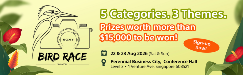 Sony Bird Race SG 2026 Returns This August with Thousands of Dollars in Photography Prizes - Alvinology