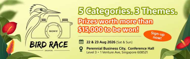 Sony Bird Race SG 2026 Returns This August with Thousands of Dollars in Photography Prizes - Alvinology