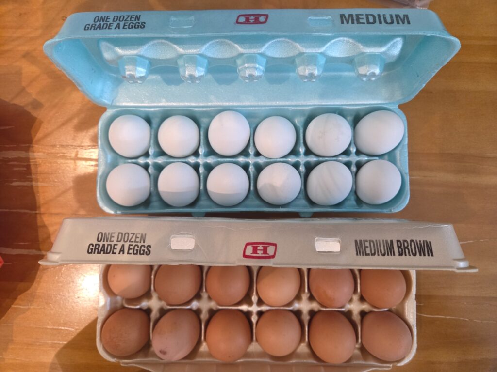 US Shell Eggs Make a Historic Return to Singapore Shores After Two Decades - Alvinology