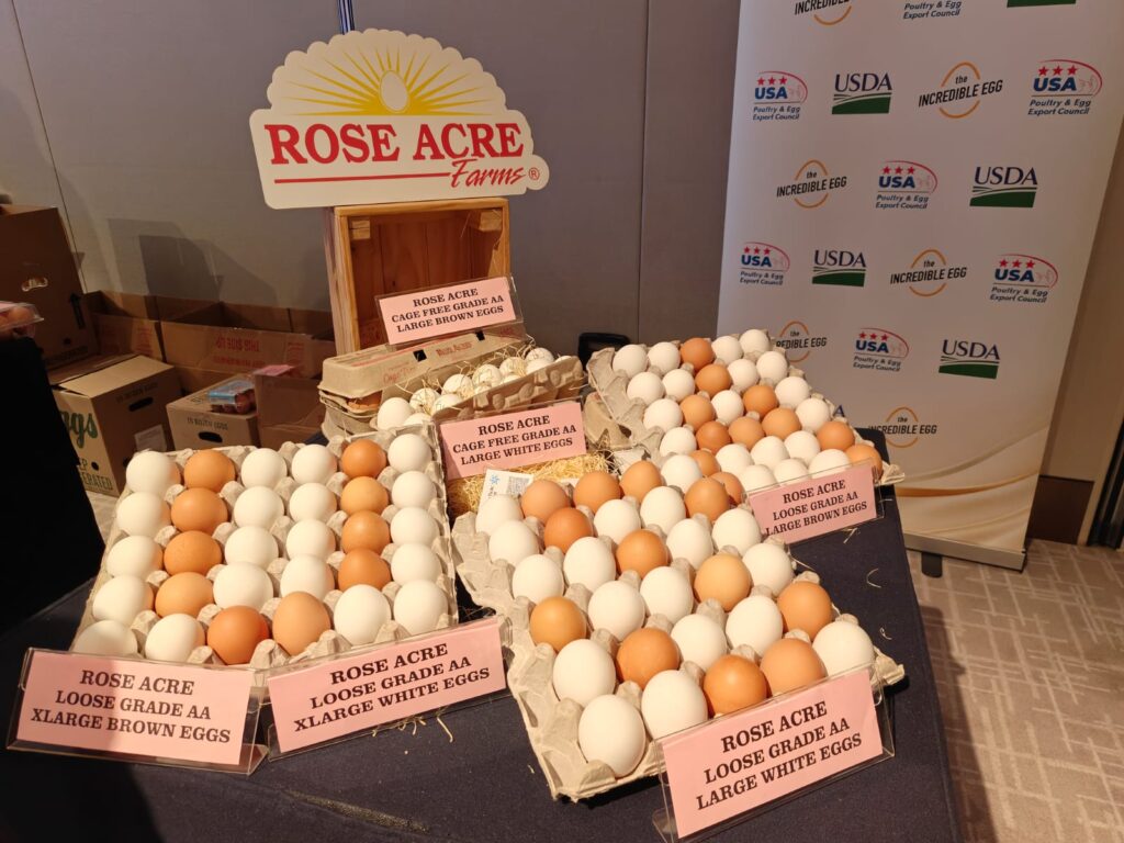 US Shell Eggs Make a Historic Return to Singapore Shores After Two Decades - Alvinology
