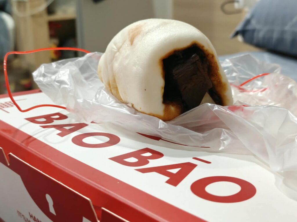 Bao Bao Celebrates National Day with New Otah Bao and Braised Pork Rice - Alvinology
