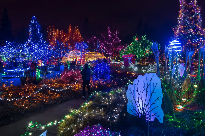 Air Canada Offers Up to 15% Off Vancouver Flights Ahead of NATAS Travel Fair - Alvinology