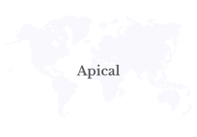 Apical Provides Free Health Screenings and Treatment for Lubuk Gaung Residents - Alvinology