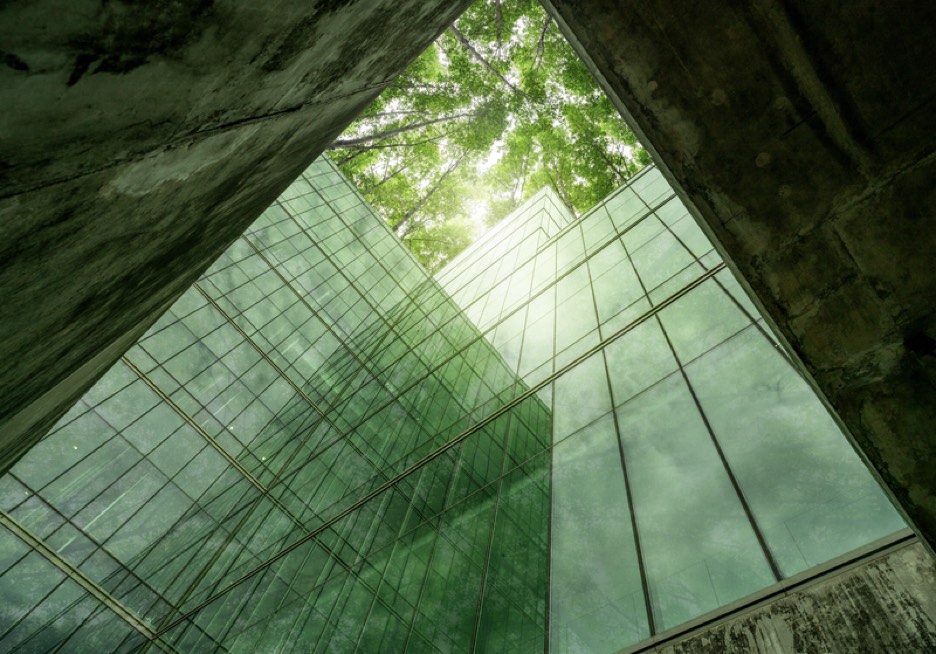 ISO 14001:2026 - Expected Changes and What Businesses Should Prepare For - Alvinology