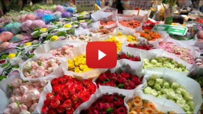 Asia's premier flower hub sets new benchmarks in trading scale and logistics efficiency - Alvinology